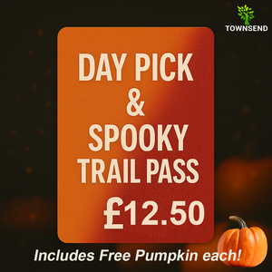 Day Pick + Spooky Trail + Pumpkins After Dark BUNDLE (9am-9pm)(Per Person)