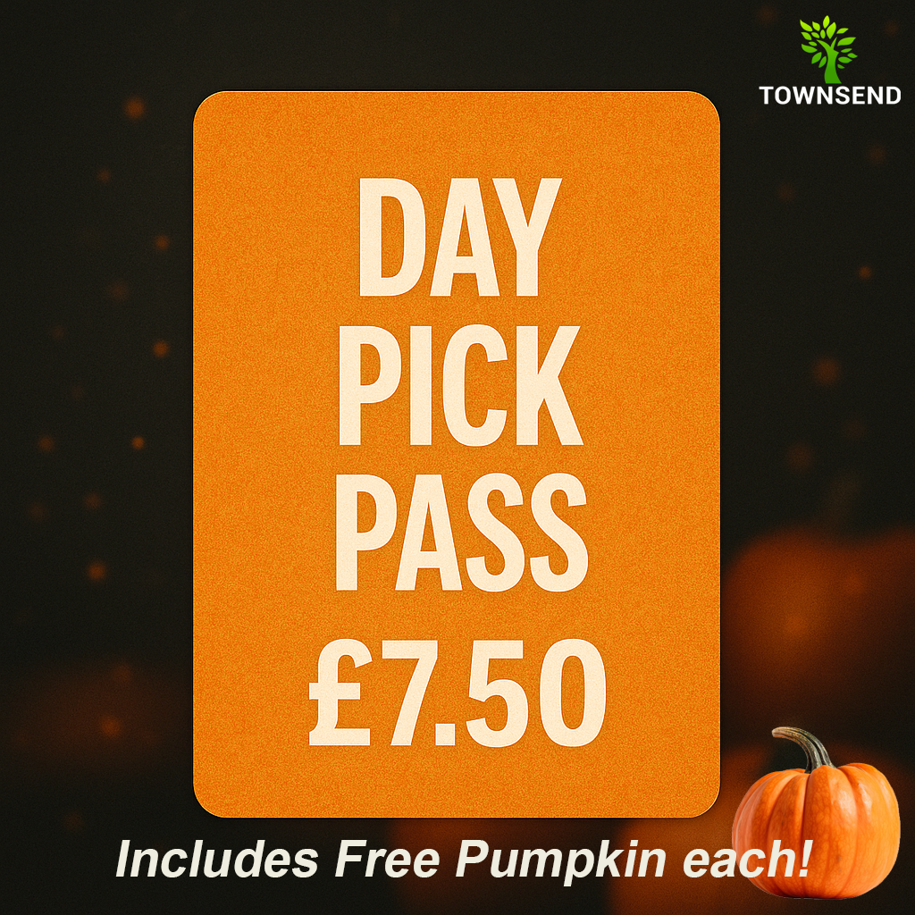 Day Pick Pass (pp)
